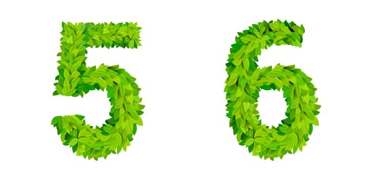 ABC grass leaves letter number elements modern nature placard lettering leafy foliar deciduous vector set. 3 4 5 6 leaf leafed foliated natural letters latin English alphabet font collection.