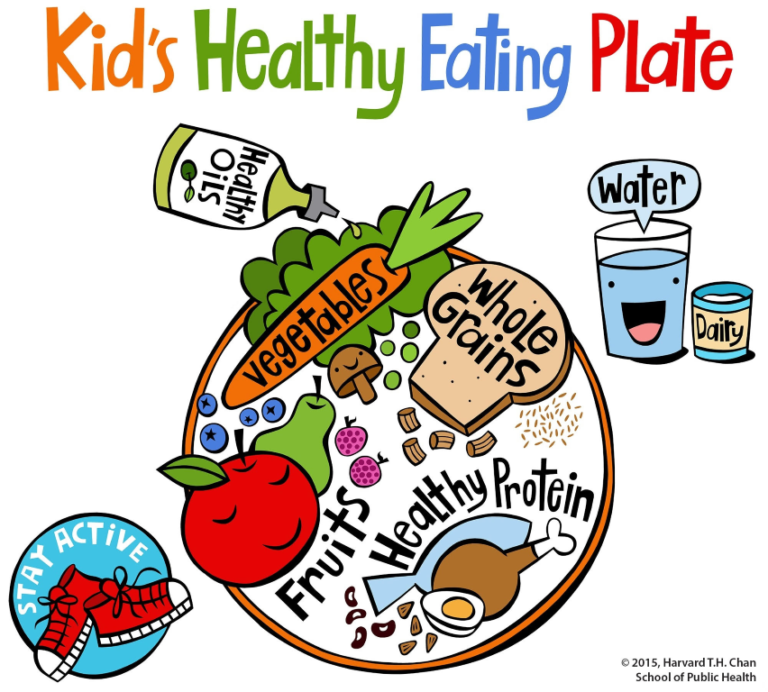 Το Harvard προτείνει το πιάτο υγιεινής διατροφής για τα παιδιά